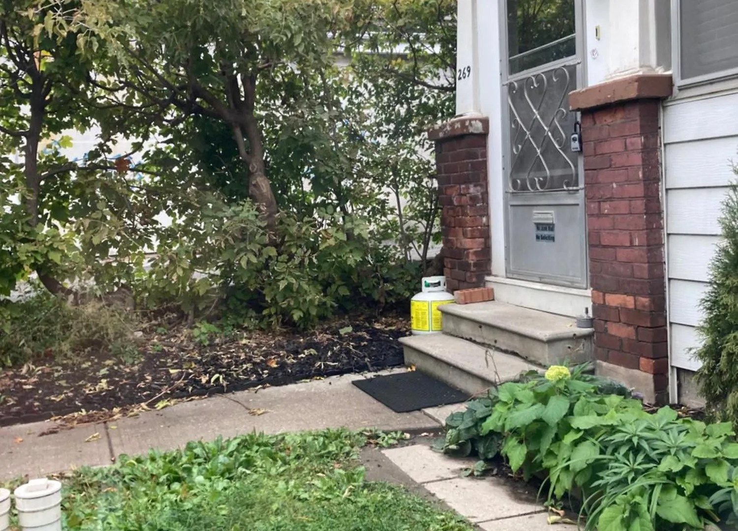 Lovely Leslieville, Exploring Nature In The City Toronto Canada